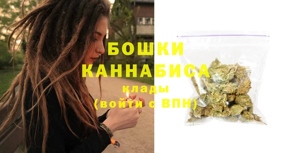 ешки Бородино