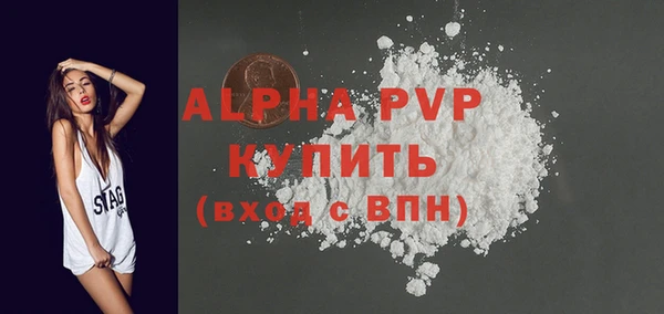 ешки Бородино