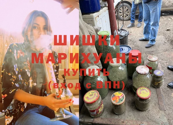 ешки Бородино