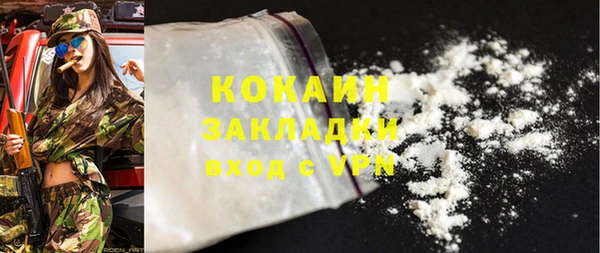 ешки Бородино