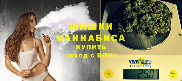 ешки Бородино