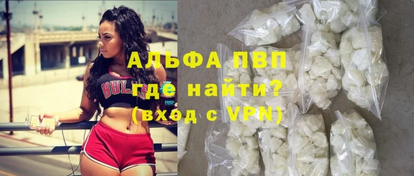 ешки Бородино