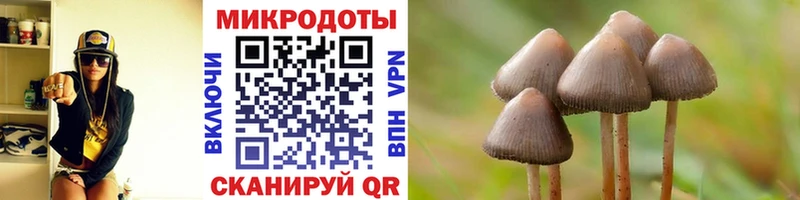 Галлюциногенные грибы прущие грибы  Горнозаводск 